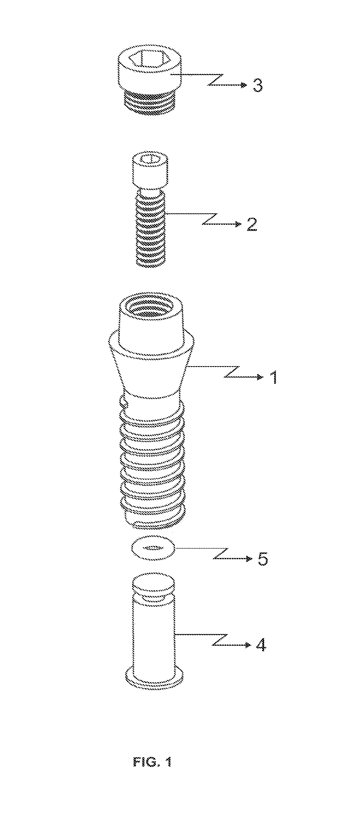 Dental implant that increases bone support