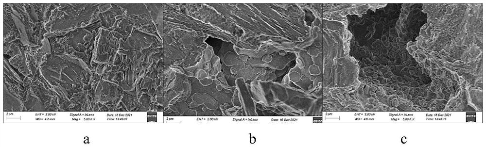 Method for preparing lithium adsorbent through in-situ growth on alumina ball and lithium adsorbent