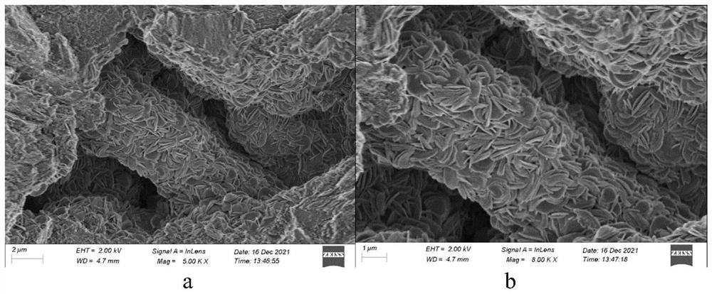 Method for preparing lithium adsorbent through in-situ growth on alumina ball and lithium adsorbent