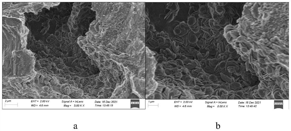 Method for preparing lithium adsorbent through in-situ growth on alumina ball and lithium adsorbent