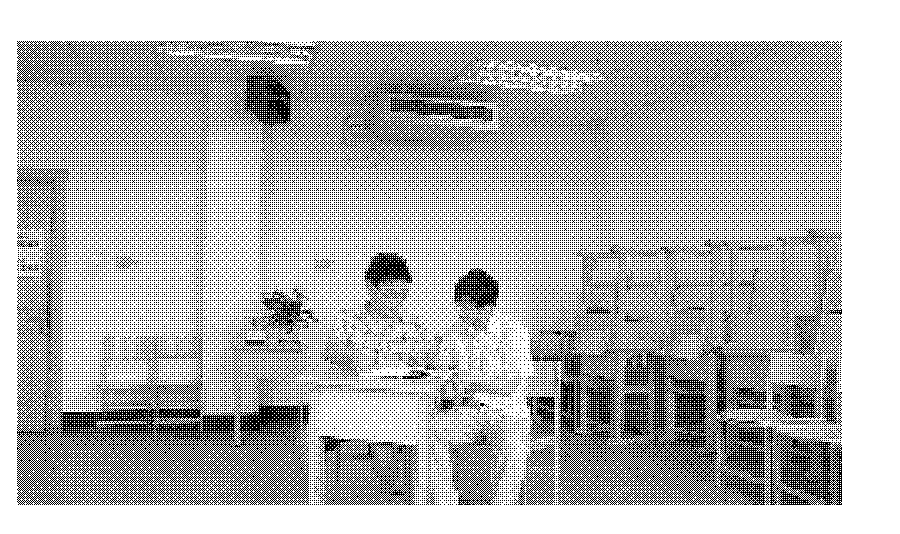 Method and device for detecting barrier based on hybrid binocular vision