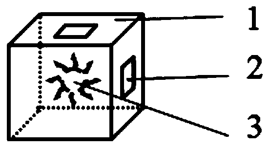 Building block type coding and displaying chess set