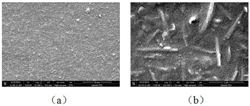 Preparation method of polyvinyl alcohol/attapulgite-polyionic liquid catalyzed esterification composite membrane