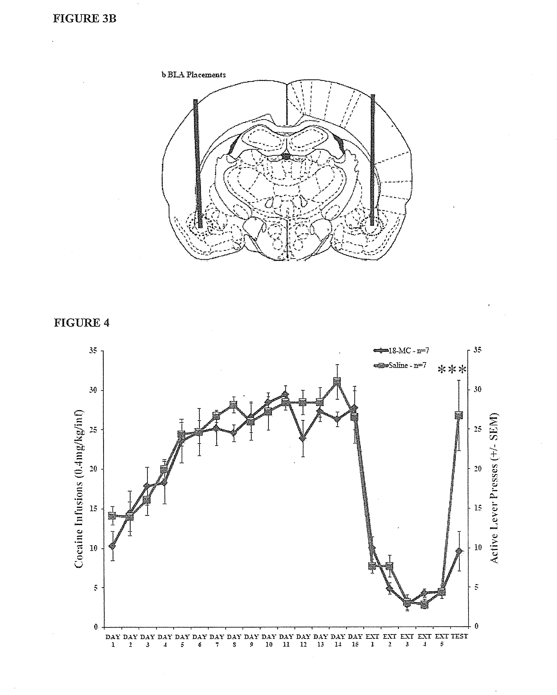 Blocking of cue-induced drug reinstatement