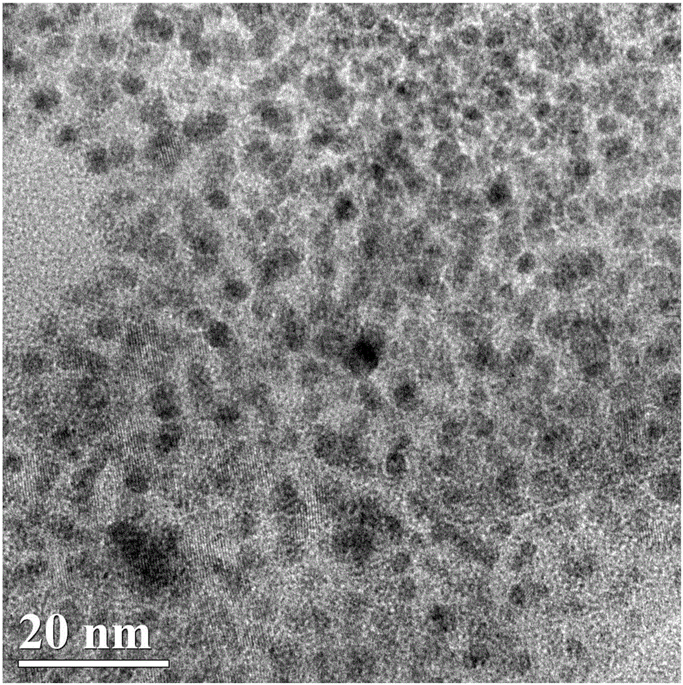 Metal doped carbon points with high fluorescence quantum yield and preparation method and application thereof