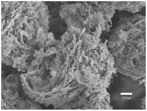 A kind of preparation method of iron-doped bismuth tungstate