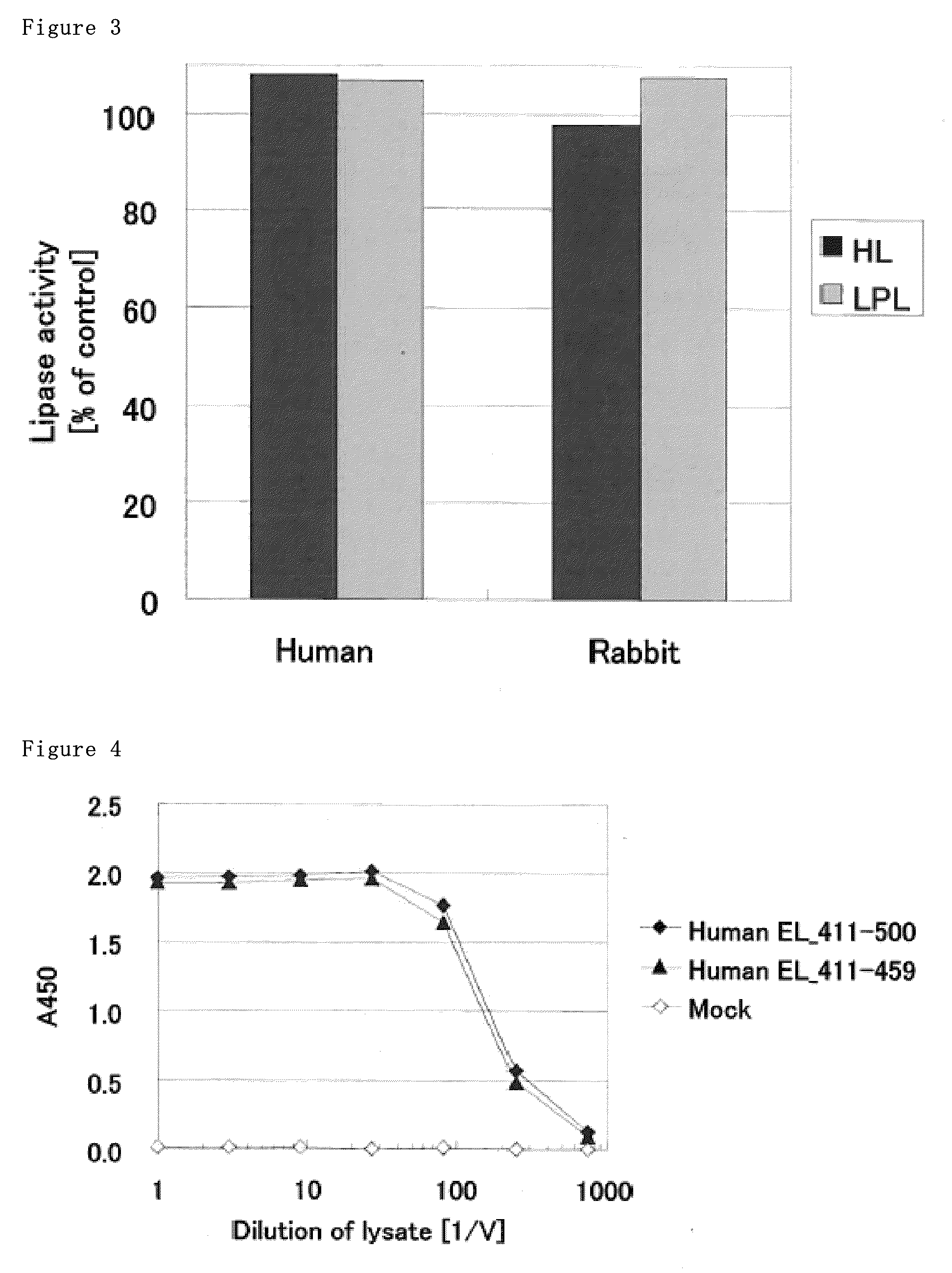 Monoclonal antibody against EL which inhibits enzyme activity of EL