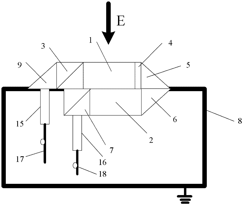 Optical electric field sensor