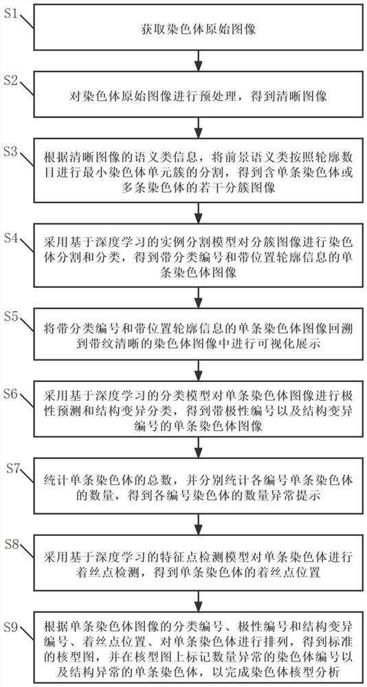 Deep learning-based karyotype analysis method and system