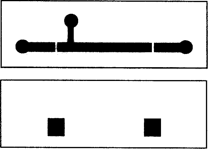 Micro-fluidic chip and its preparation and uses