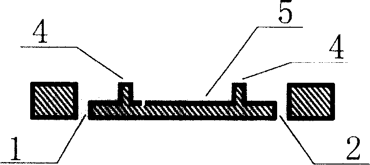 Micro-fluidic chip and its preparation and uses