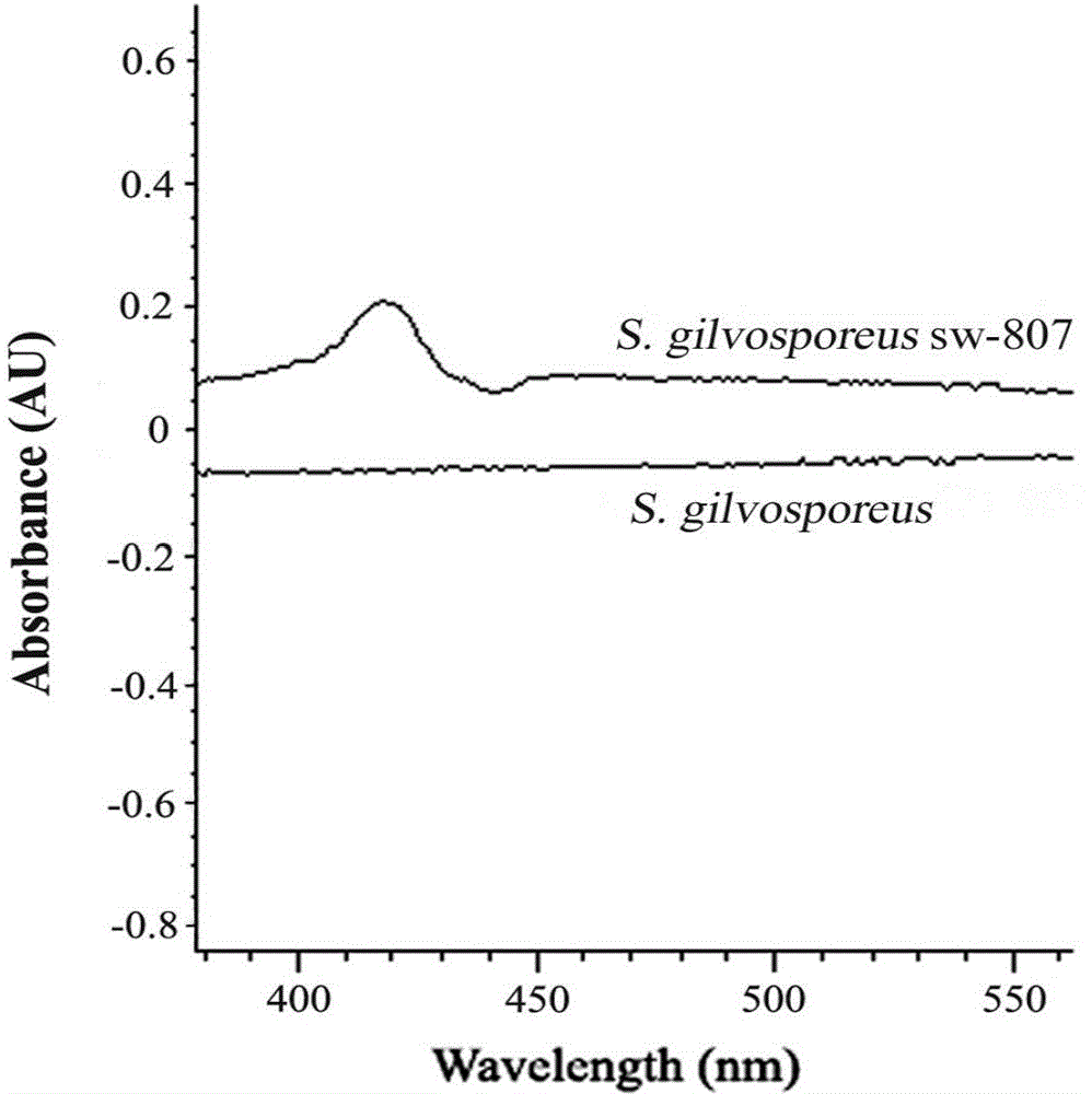 Poor oxygen resistance high density fermentation natamycin gene engineering strain constructed by using vgb gene, and application thereof