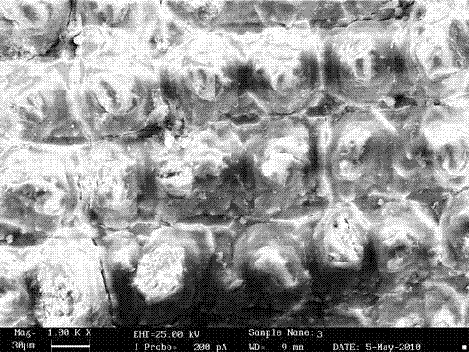 Preparation method of distiller's grain adsorbing material for heavy metal ion adsorption