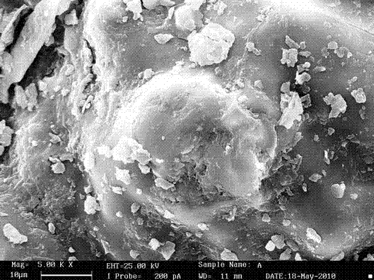 Preparation method of distiller's grain adsorbing material for heavy metal ion adsorption