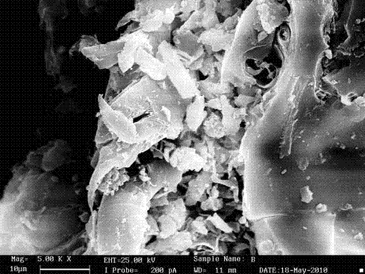 Preparation method of distiller's grain adsorbing material for heavy metal ion adsorption