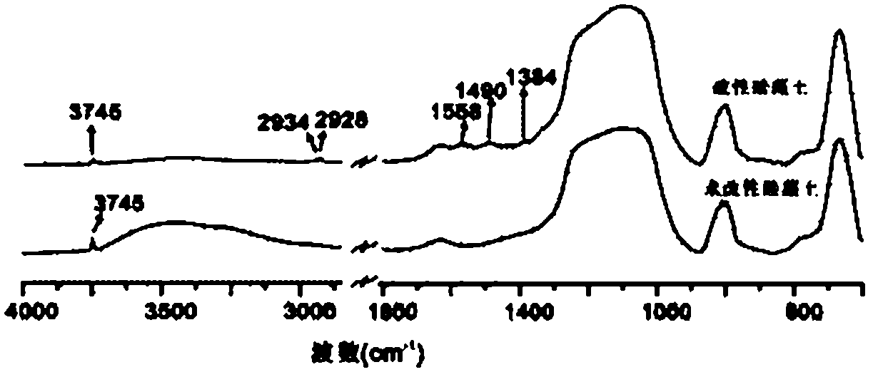 Preparation method of modified diatomaceous earth material for absorbing divalent copper ions in water solution