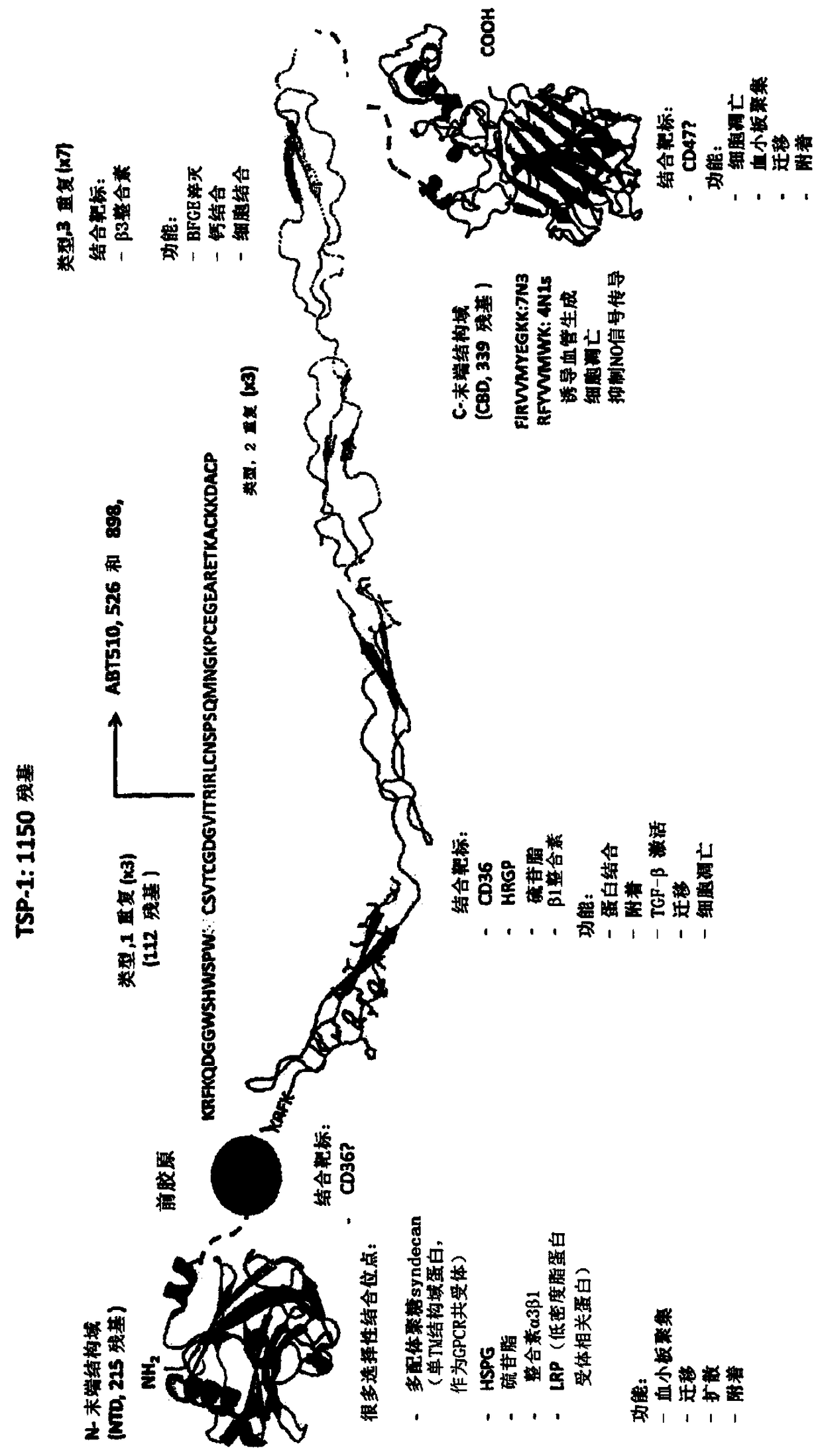 Agonist agents of cd47 inducing programmed cell death and their use in the treatments of diseases associated with defects in programmed cell death