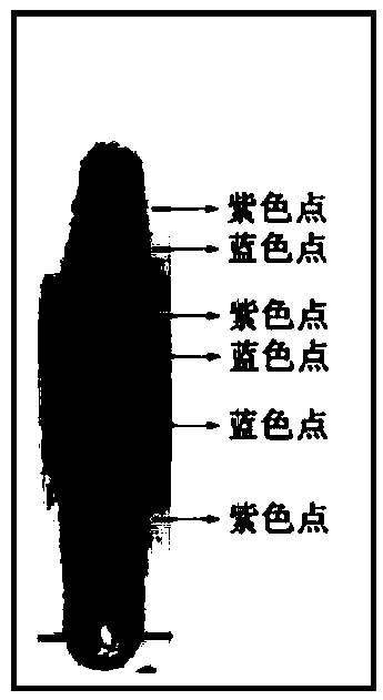 Method for preparing total triterpenoids with hypoglycemic effect from leaves of Cyclocarya paliurus and application