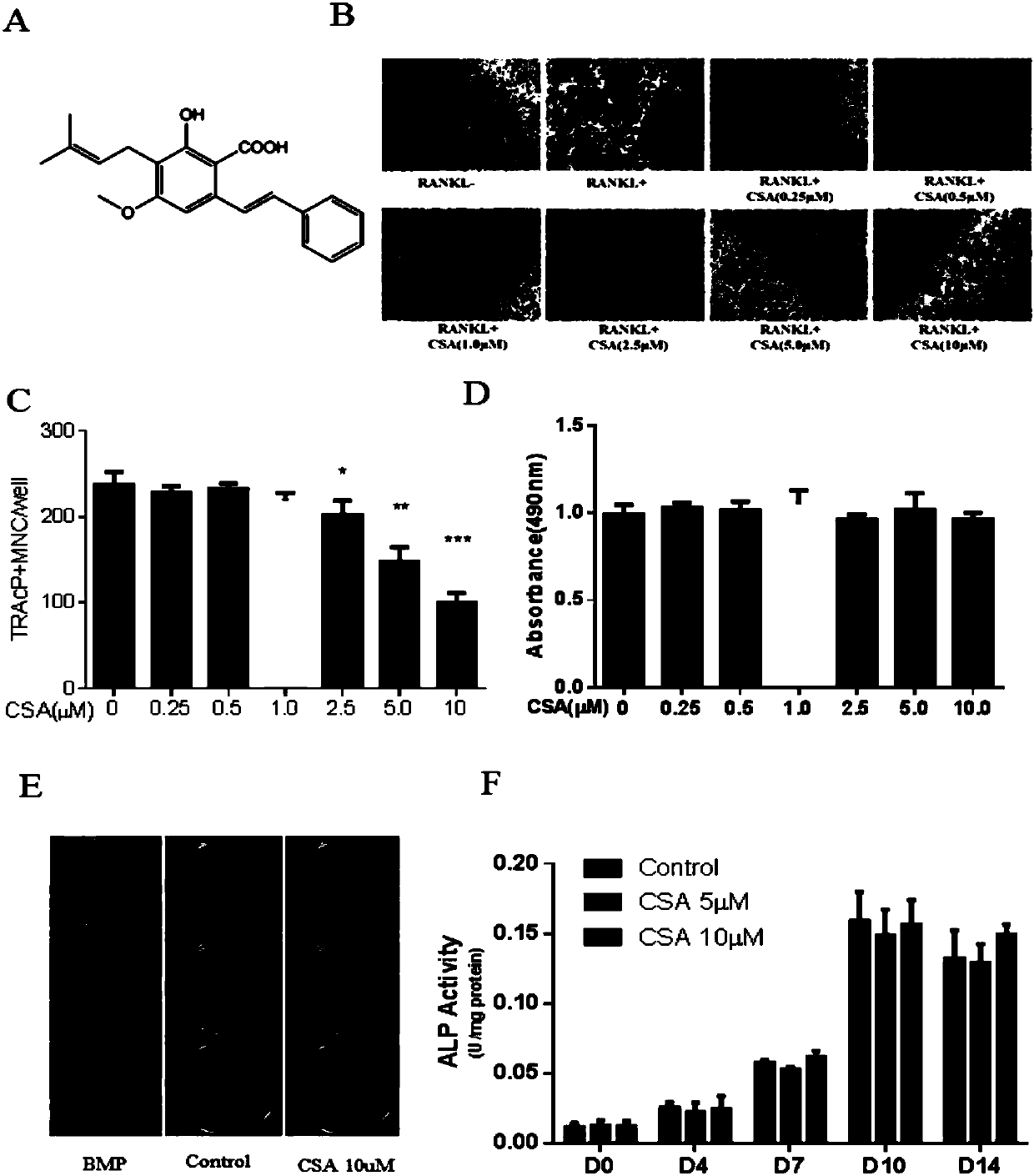 Application of Longistyline A-2-carboxylic acid in osteoclast formation inhibiting and osteoporosis preventing medicines