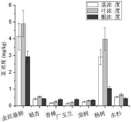 Application of koelreuteria paniculata/euonymus japonicus allocation combination for fixing heavy metal in soil