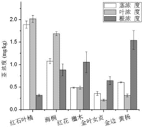 Application of koelreuteria paniculata/euonymus japonicus allocation combination for fixing heavy metal in soil