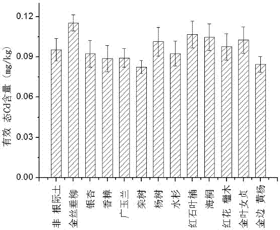 Application of koelreuteria paniculata/euonymus japonicus allocation combination for fixing heavy metal in soil