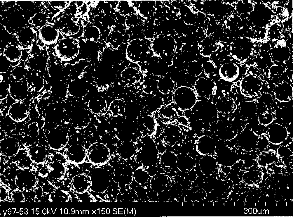 Embedding damping pulp and method for preparing same