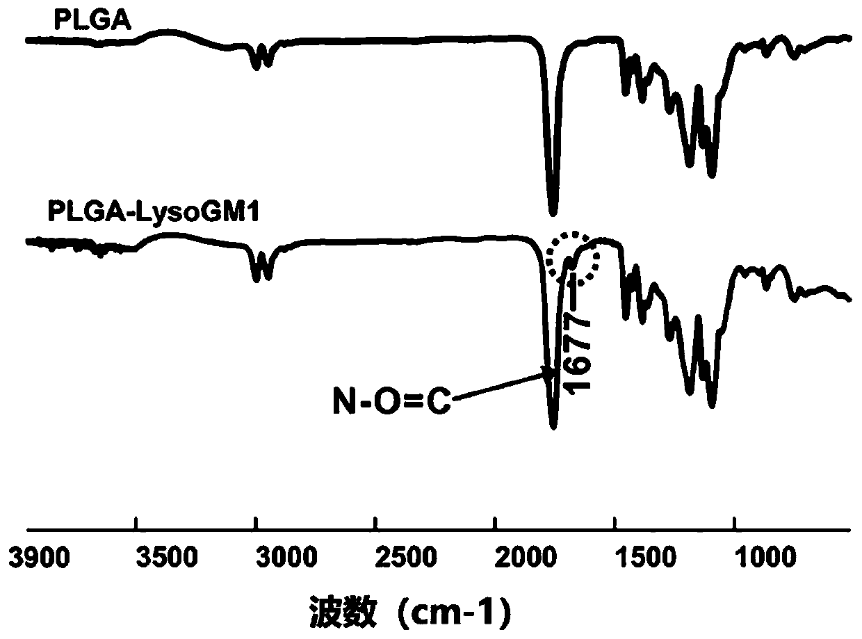 Polymer material with nerve tissue repair activity, and preparing method and application of polymer material