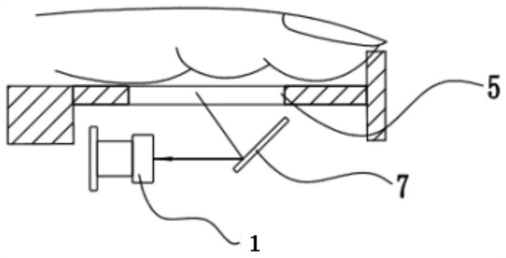 Two-finger vein verification device and method