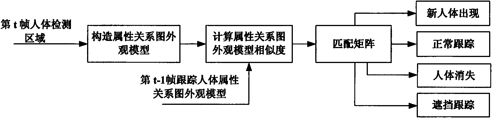 Multi-human body tracking method based on attribute relational graph appearance model