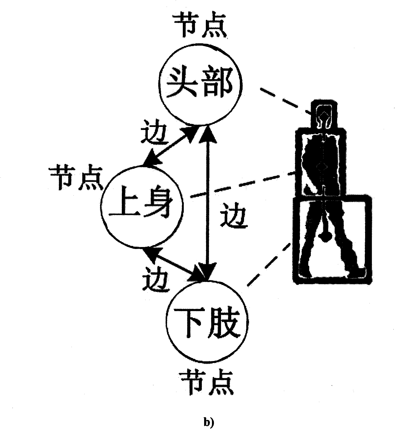 Multi-human body tracking method based on attribute relational graph appearance model