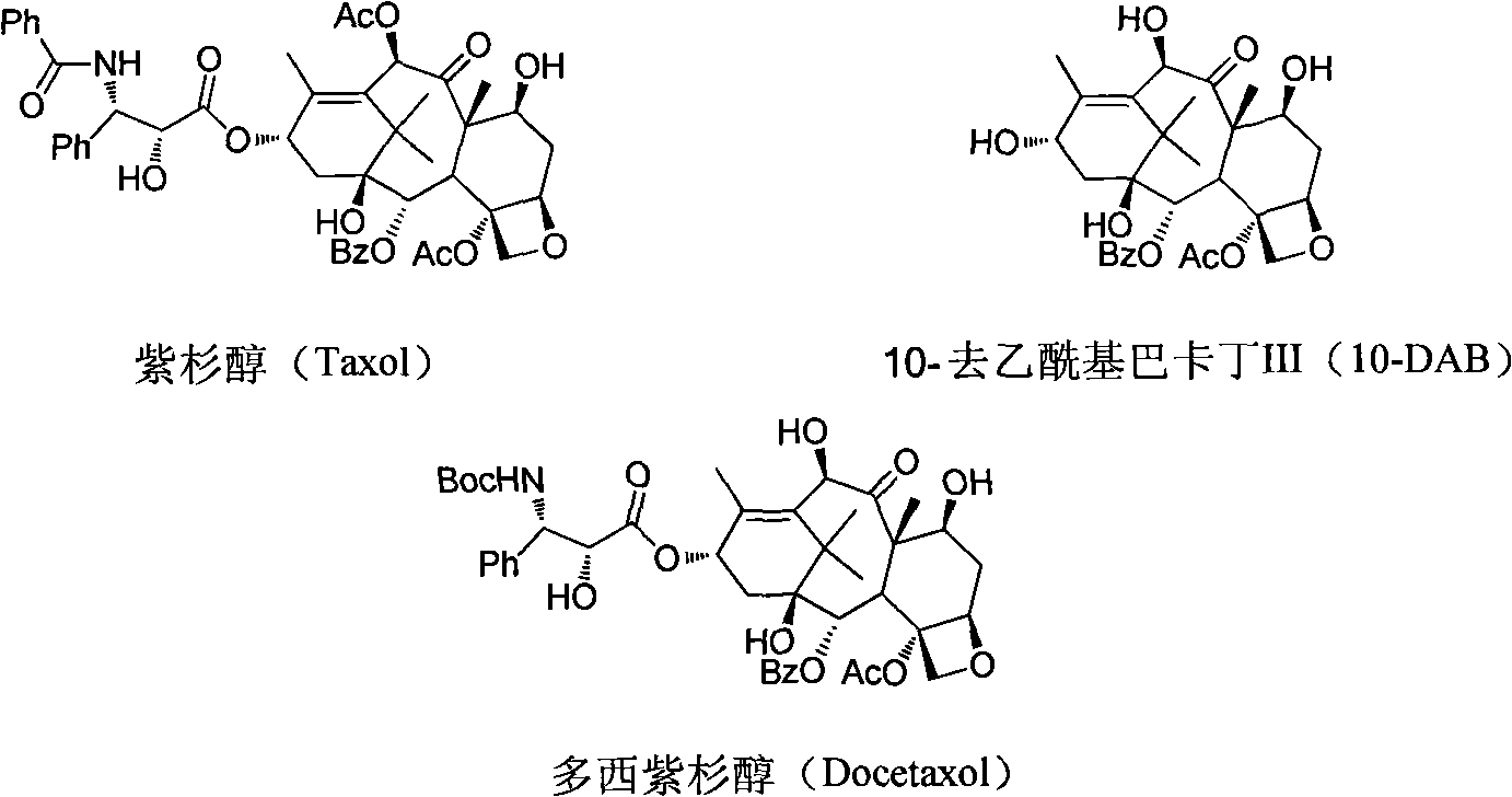 Preparation method of new taxane derivative