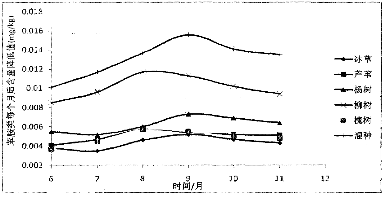 Method for treating nitrobenzene and phenylamine waste water by using plant system