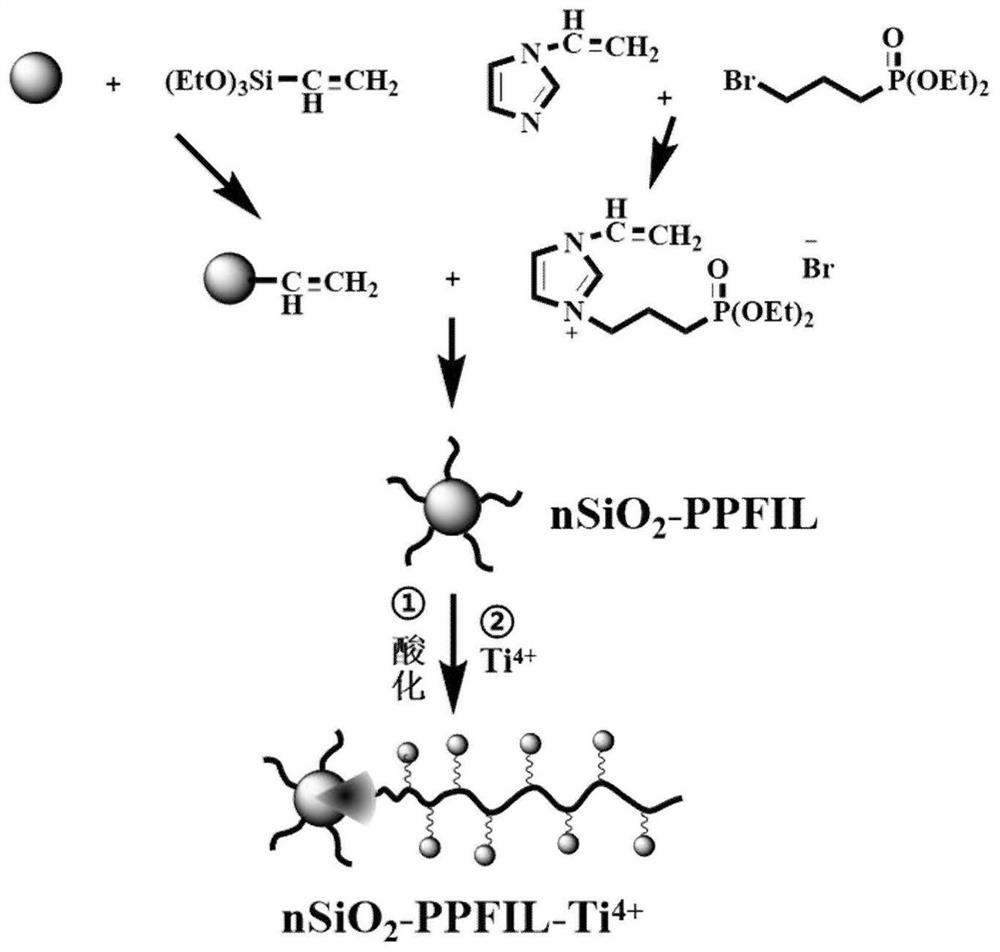 Polyionic liquid modified nano material, preparation method thereof and application of material in enrichment of phosphorylated peptides