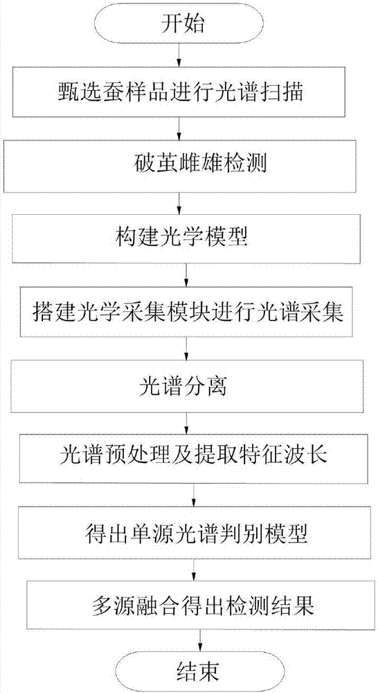 Rapid nondestructive testing method for male and female silkworm pupas based on spectrum technique