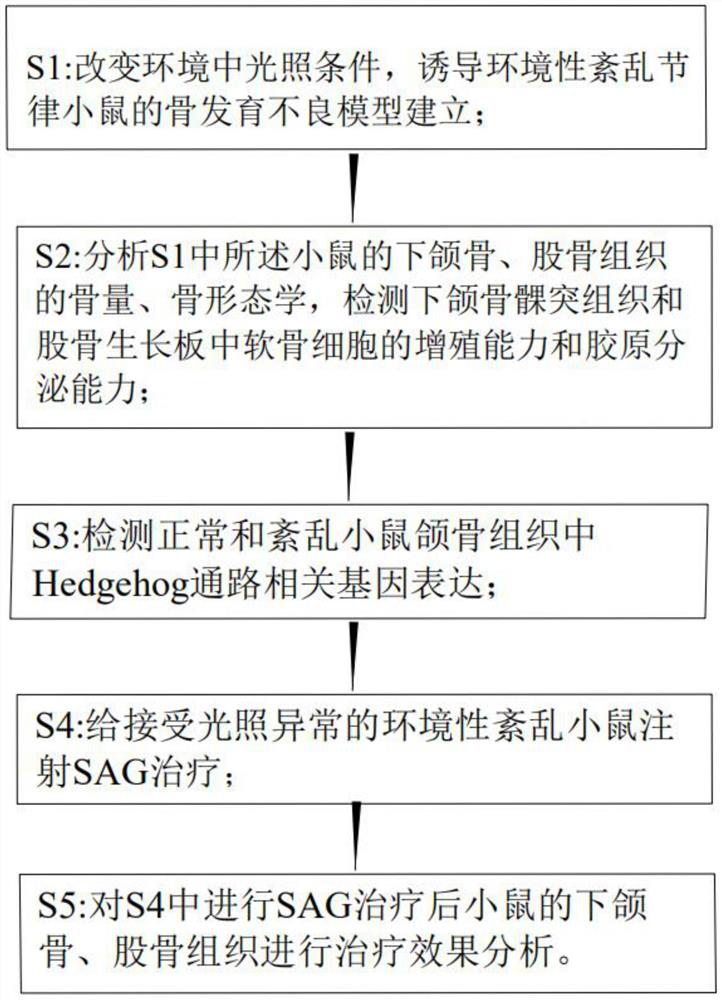 Method for verifying effect of SAG in preventing environmental anomaly related bone dysplasia