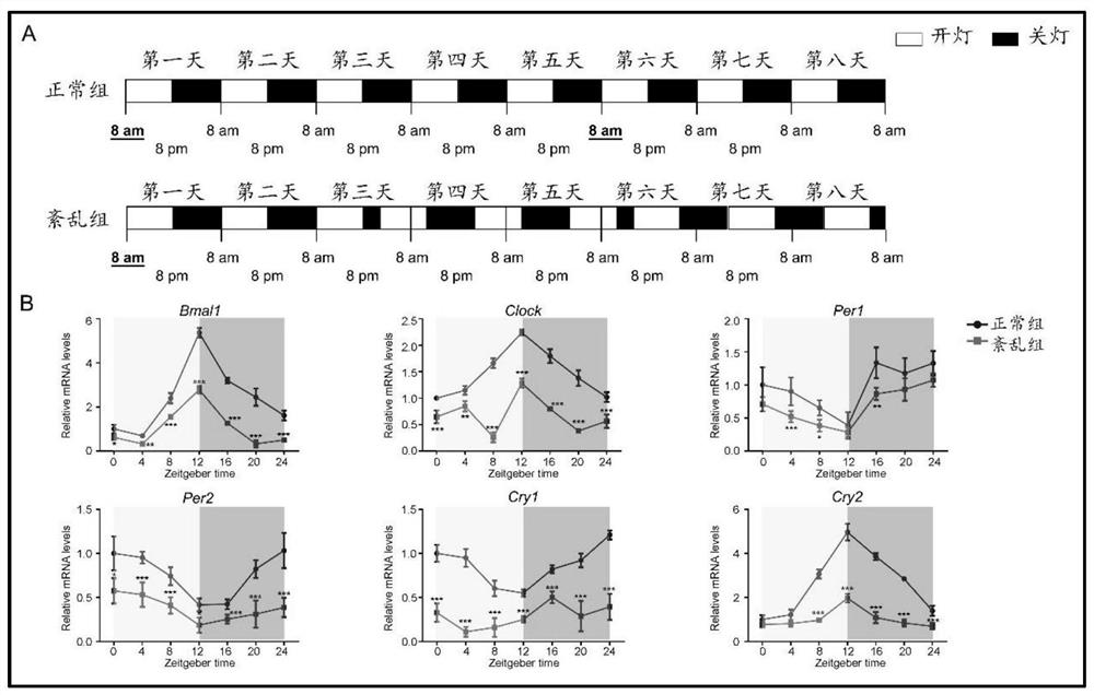 Method for verifying effect of SAG in preventing environmental anomaly related bone dysplasia