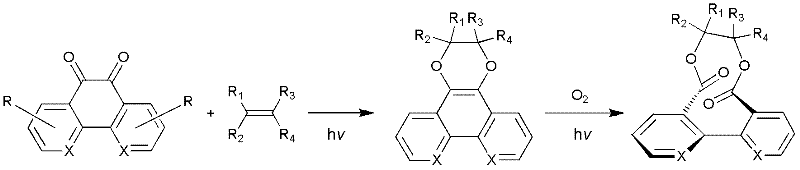 Dibenzyl-macrolide compound based on photoreaction and synthesis method thereof