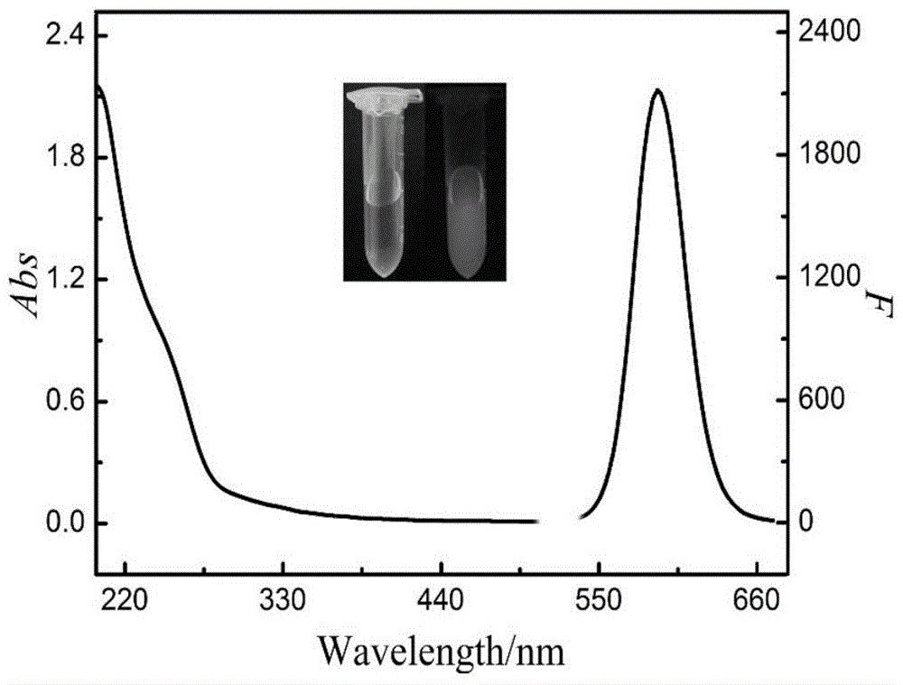 A molecularly imprinted polymer based on core-shell quantum dots and its application