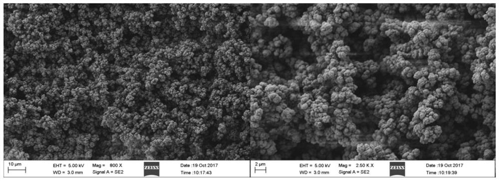 A kind of monolithic material of phospholipid organic polymer and its preparation method and application