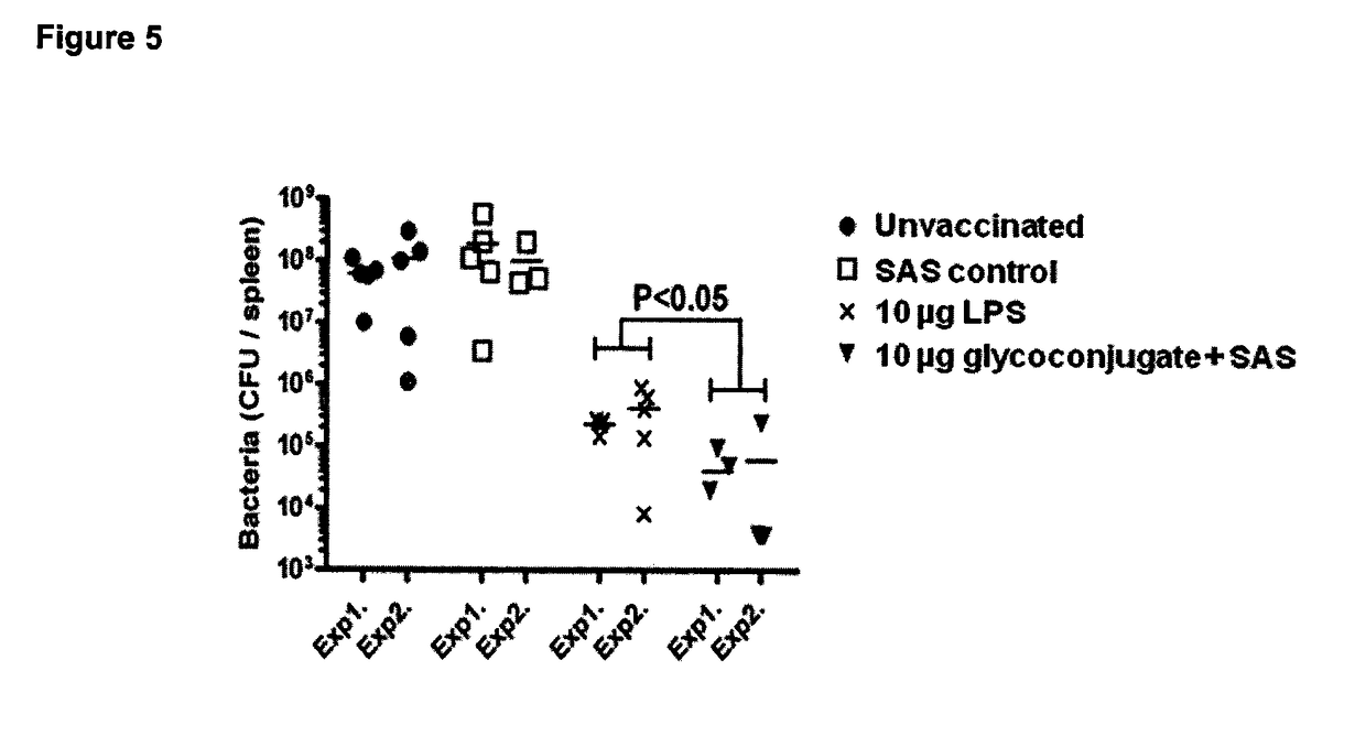 Glycoconjugate vaccines