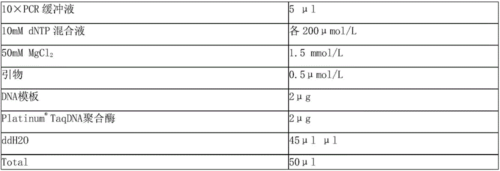 Multi-PCR kit for rapidly identifying Dragonfish type and identifying method thereof