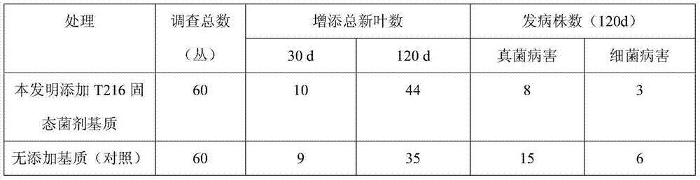 Method for promoting orchid to grow and preventing diseases