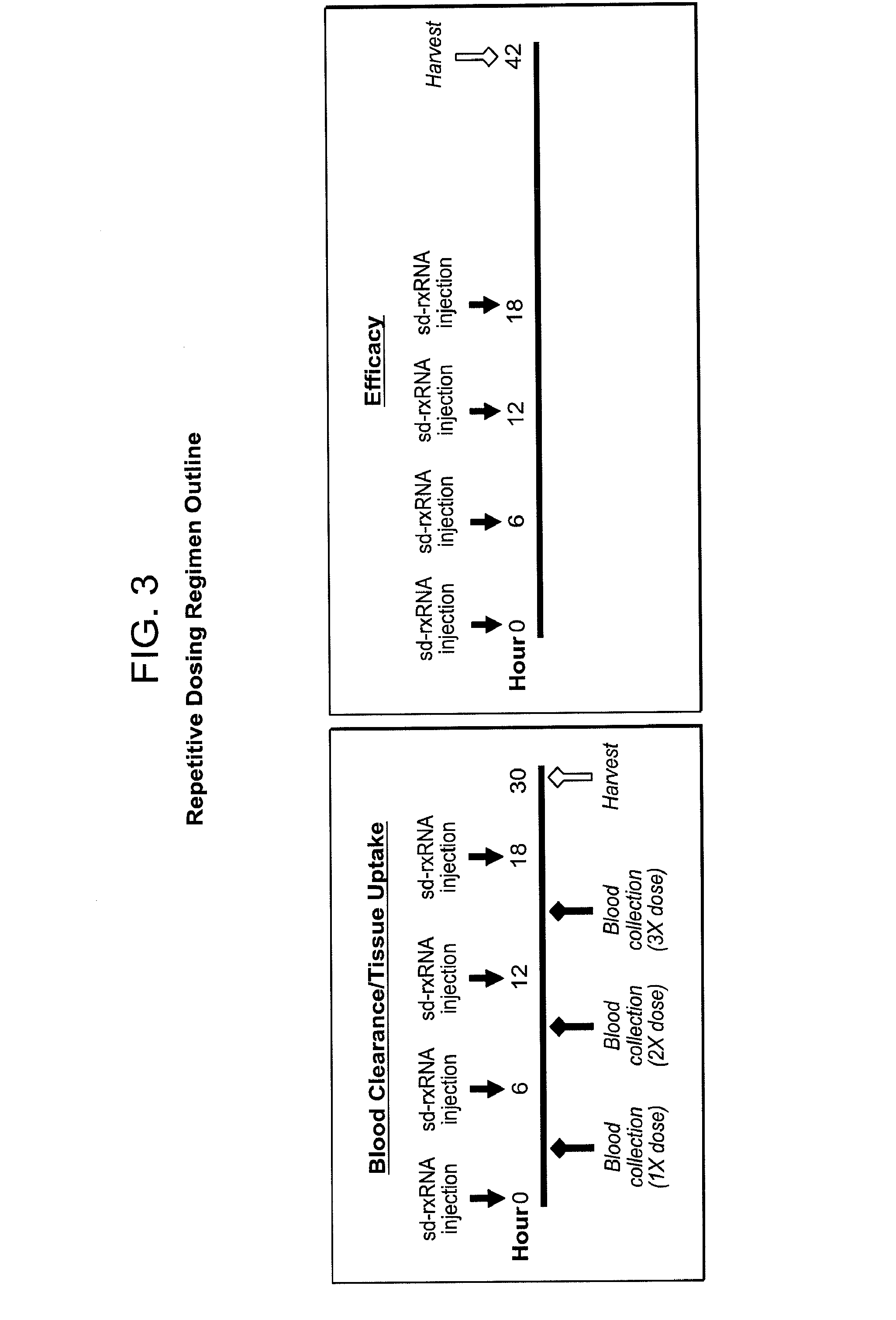 Reduced size self-delivering rnai compounds