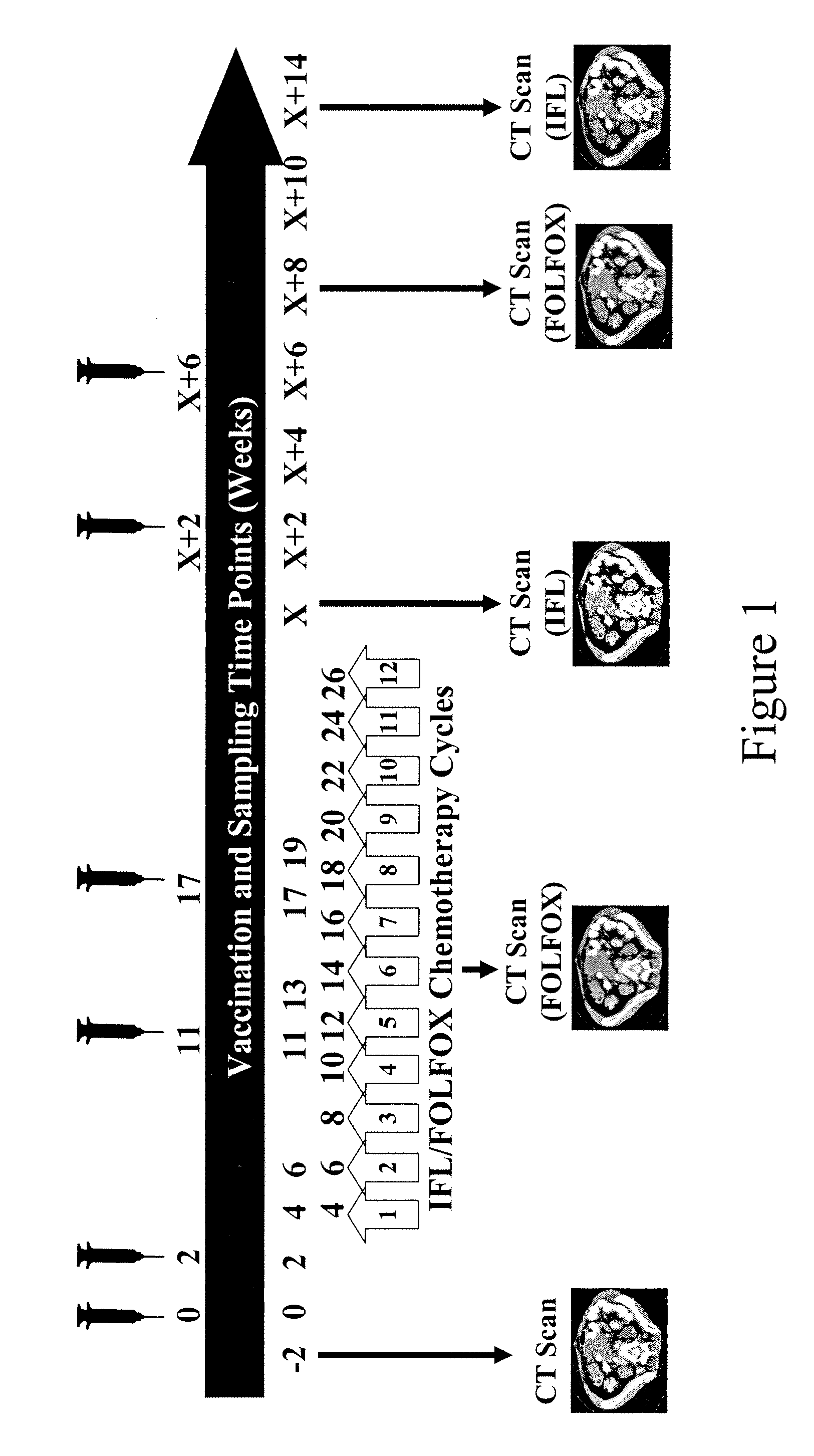 Chemo-Immunotherapy Method