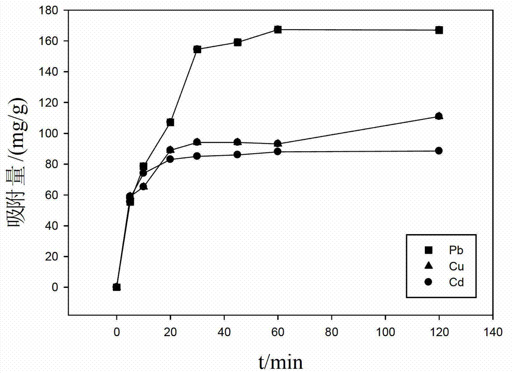 Modification method for improving bacteria heavy metal adsorption capacity, adsorbent and application thereof