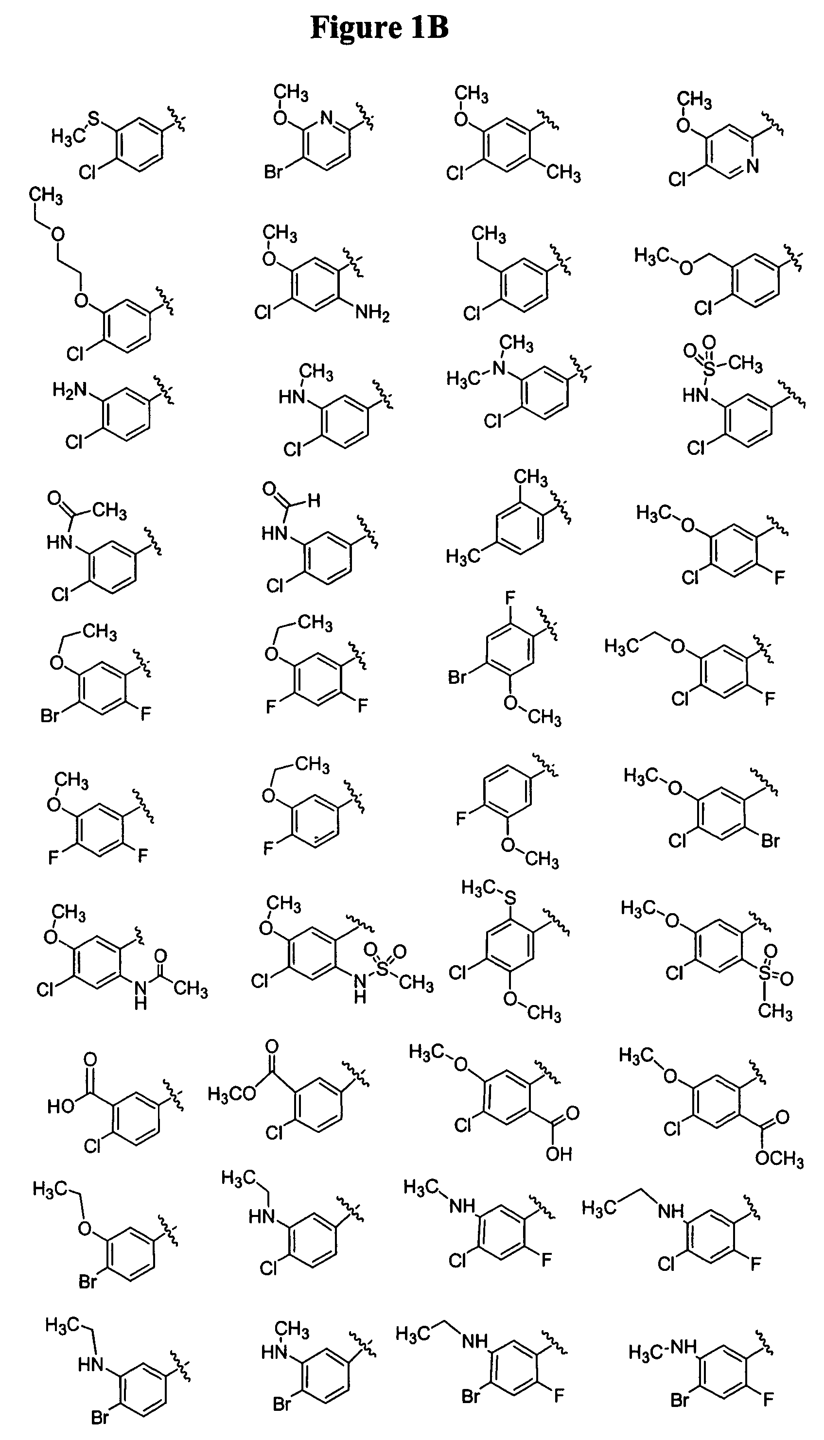 Bicyclic and bridged nitrogen heterocycles