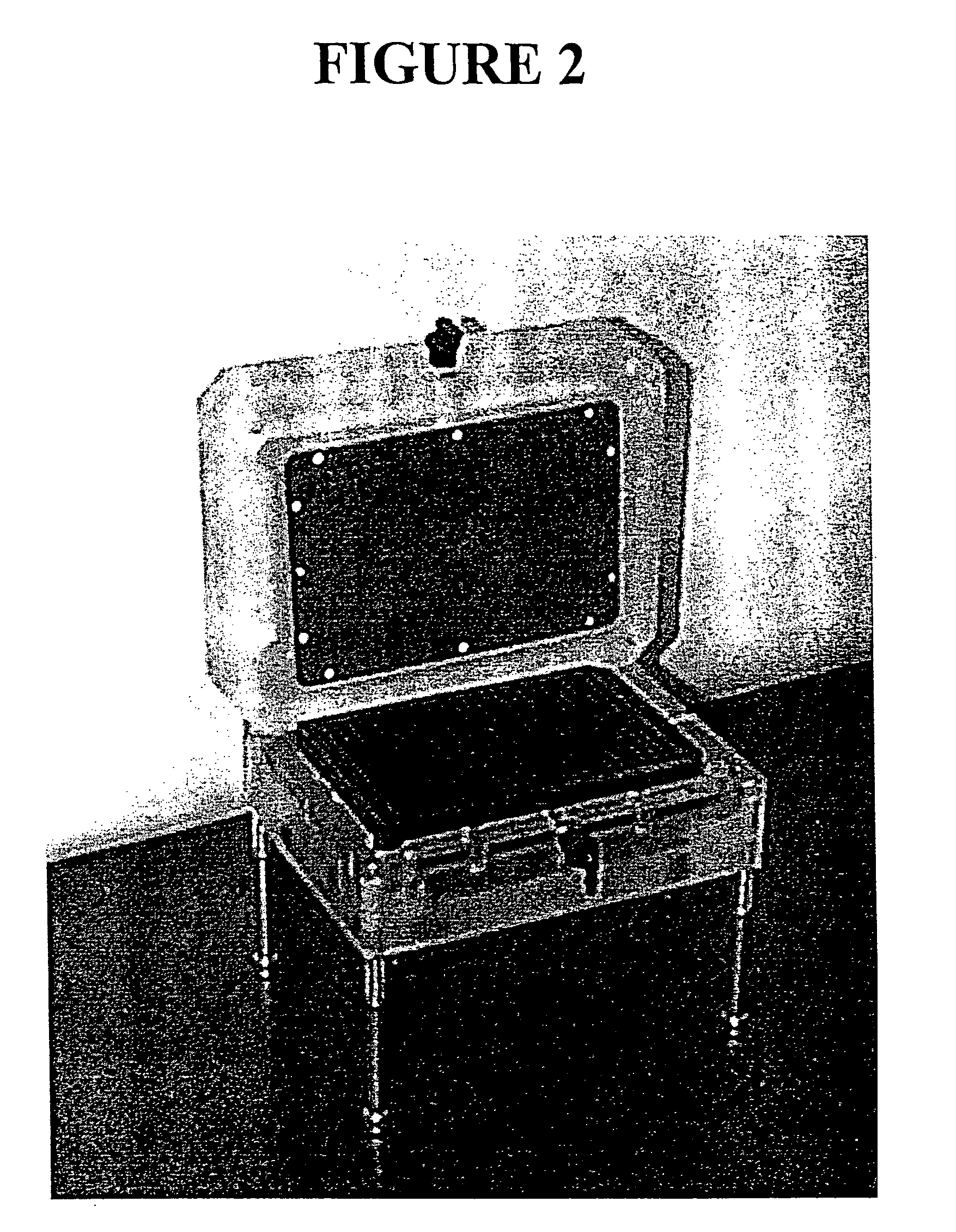 Microtiter plate format device and methods for separating differently charged molecules using an electric field