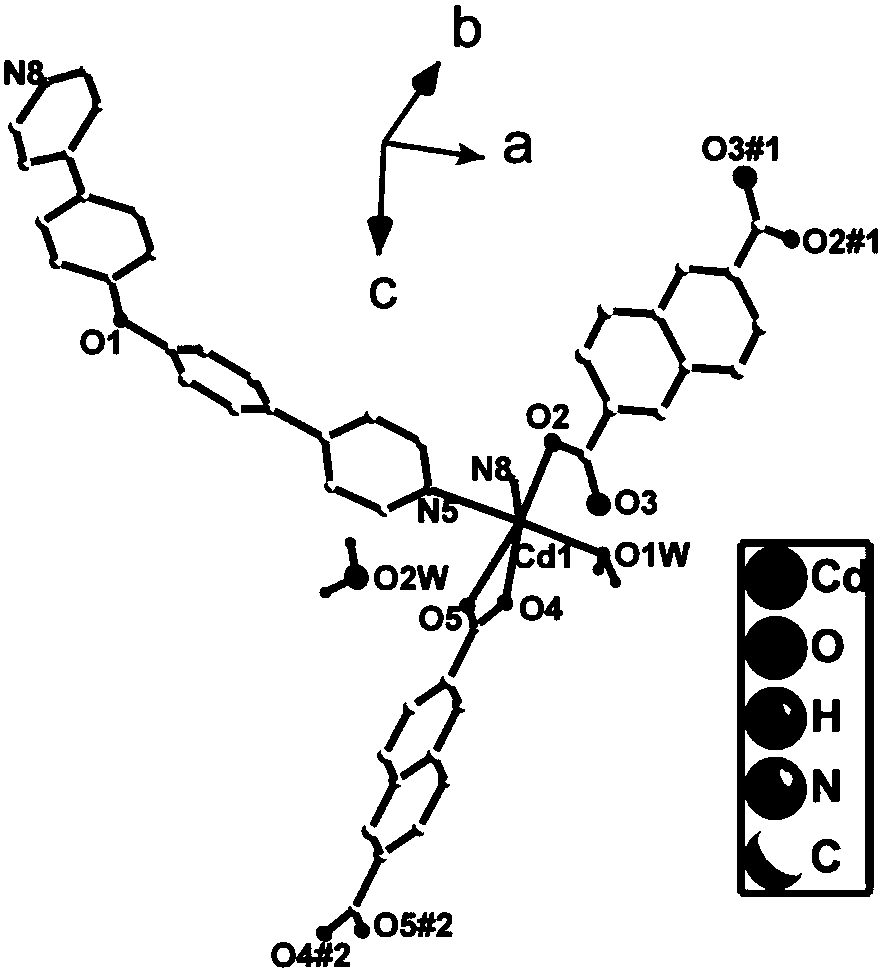 Cadmium metal organic complex and preparation method thereof