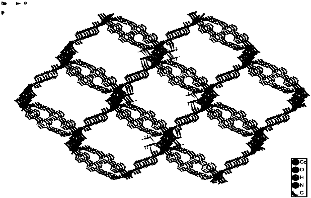 Cadmium metal organic complex and preparation method thereof